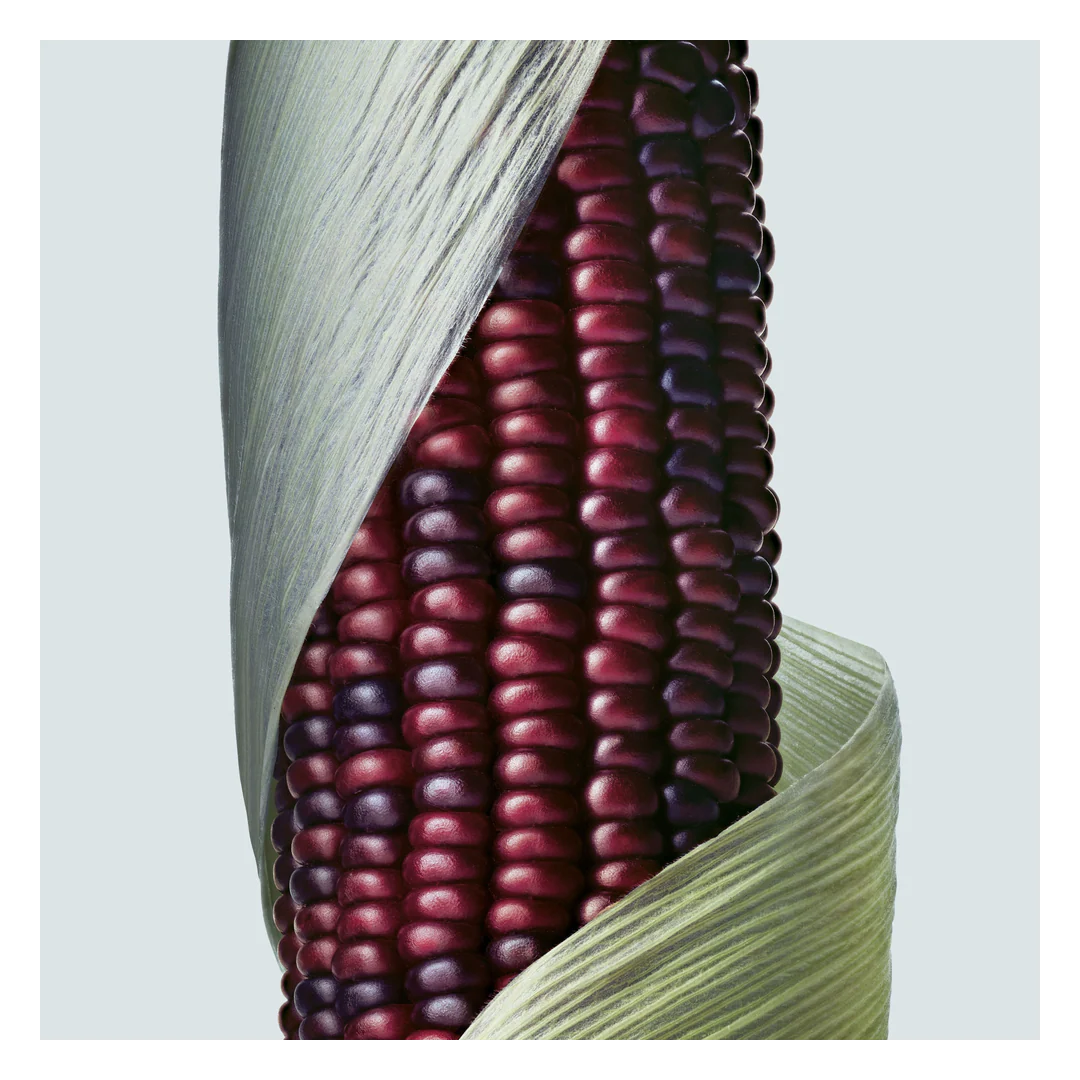 Aveda Botanical Repair Intensive Strengthening Masque Light - Image 8