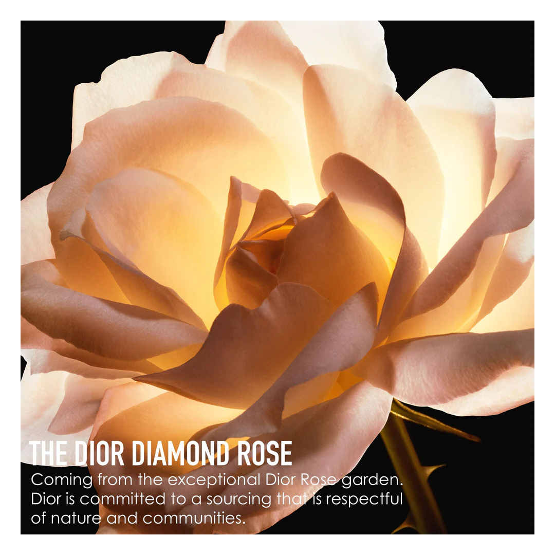 DIOR Prestige La Crème Texture Riche - Image 7