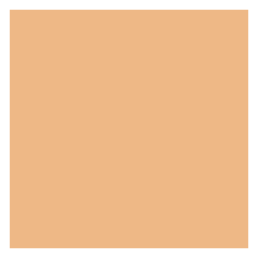 Elizabeth Arden Flawless Finish Sponge On Cream Makeup - Image 12