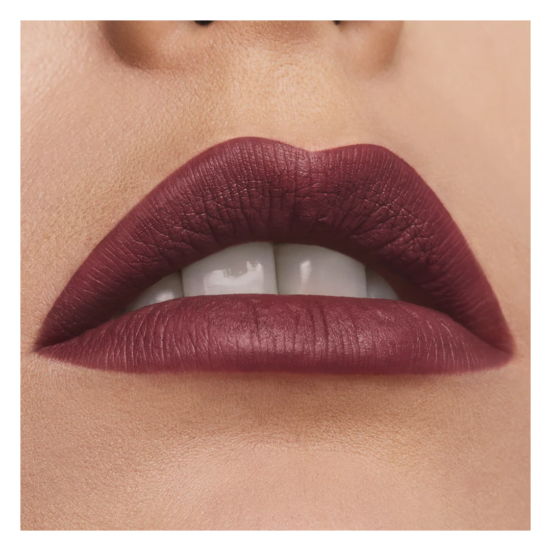 Estee Lauder Pure Color Matte Lipstick - Image 66