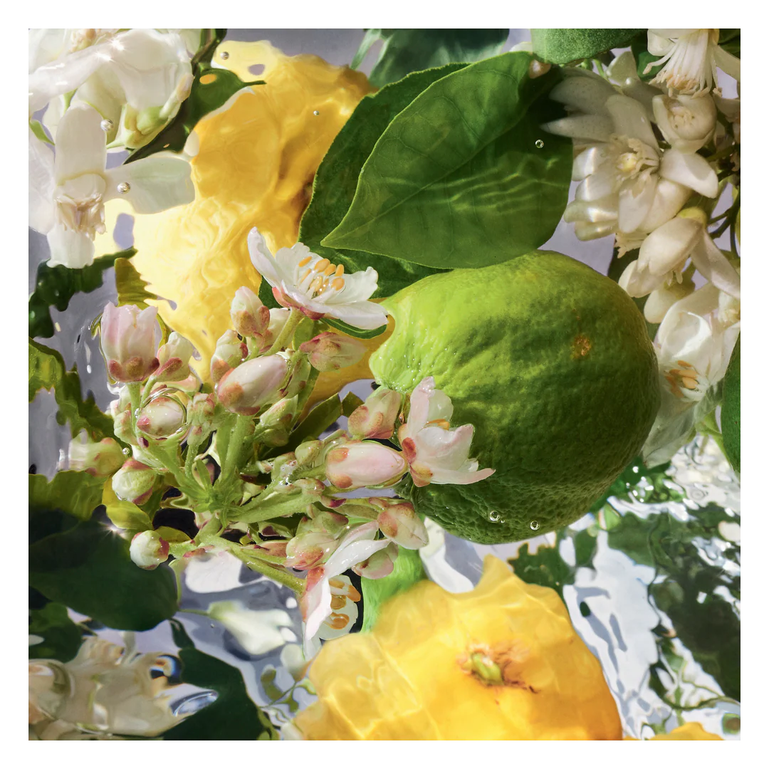 GUERLAIN Aqua Allegoria Bergamot Body Lotion - Image 2