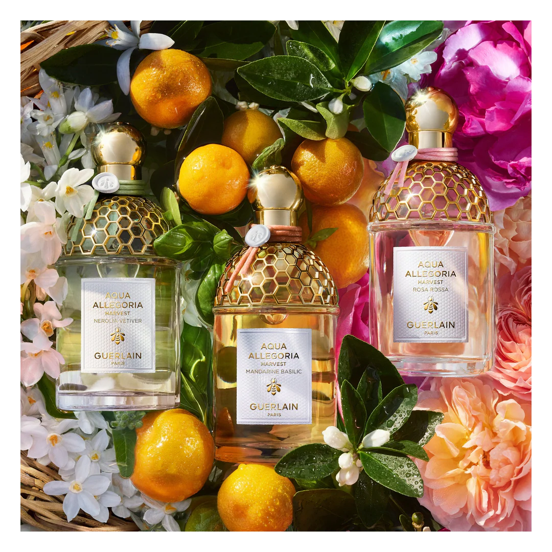 GUERLAIN Aqua Allegoria Harvest Nerolia Vetiver Eau de Toilette Spray - Image 10