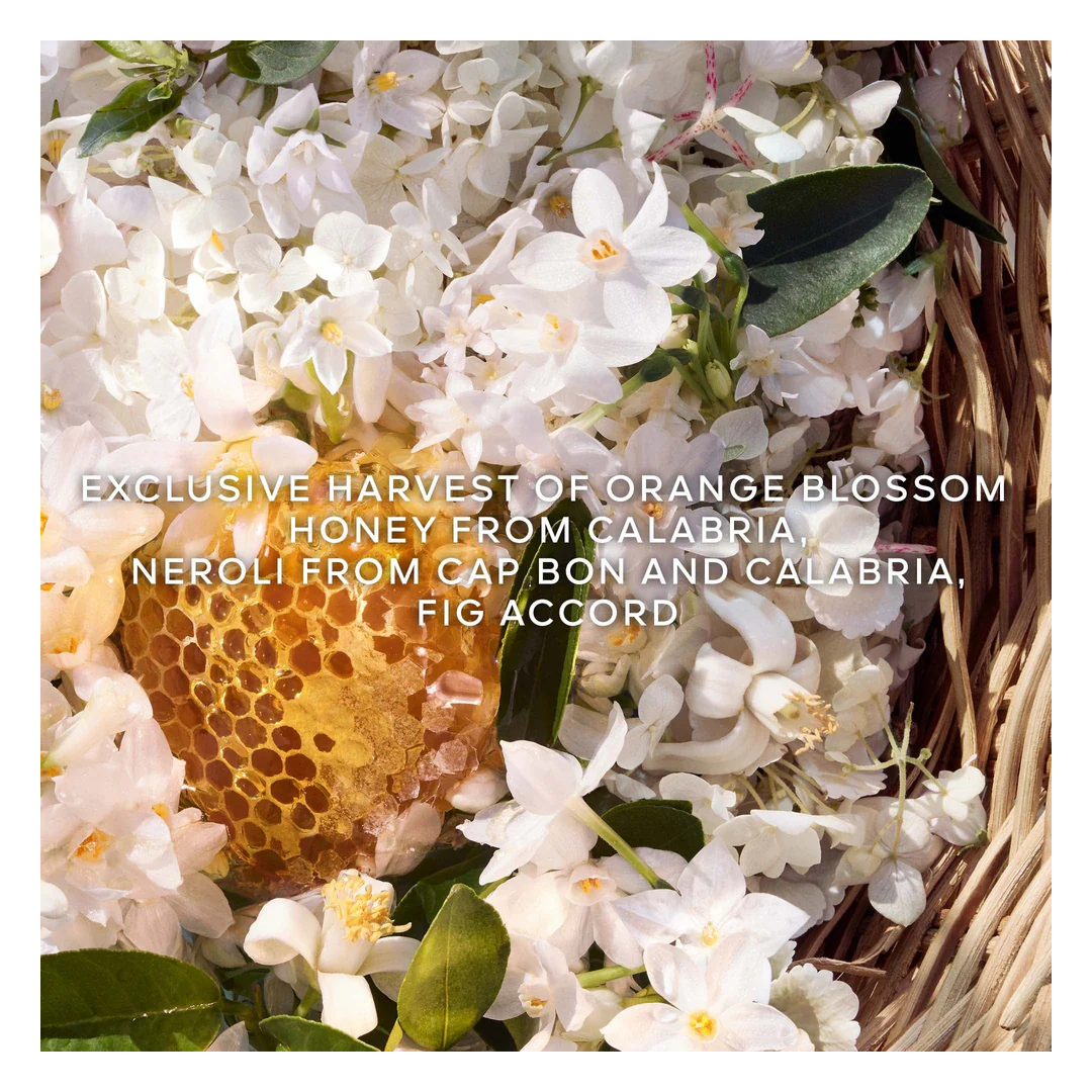 GUERLAIN Aqua Allegoria Harvest Nerolia Vetiver Eau de Toilette Spray - Image 7