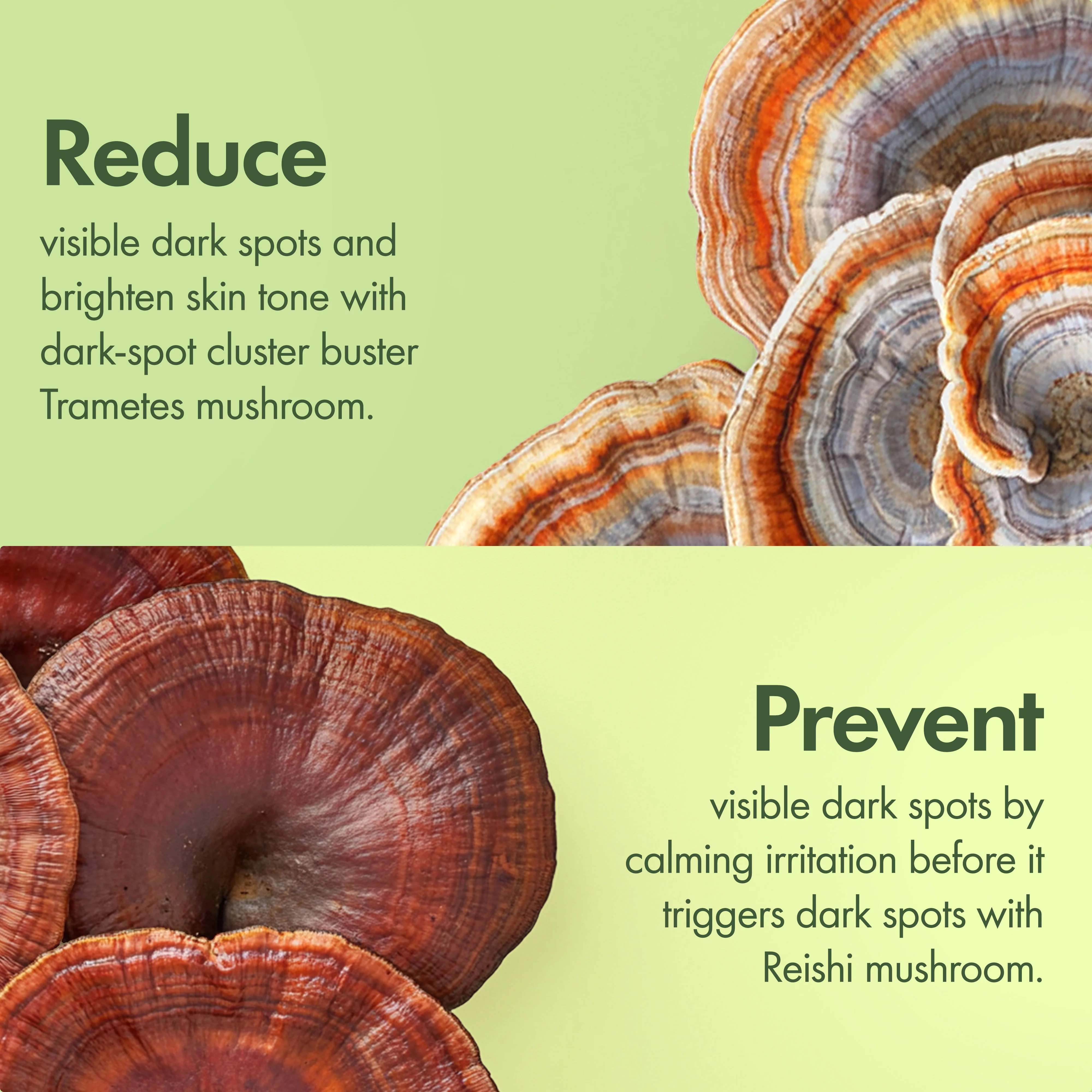 Origins Mega-Mushroom Dark Spot Brightening Moisturizer - Image 4
